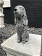 Decoratie dierenbeelden, hond Cocker Spaniel, steen, tuinbeeld - 4 - Thumbnail