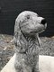 Decoratie dierenbeelden, hond Cocker Spaniel, steen, tuinbeeld - 5 - Thumbnail