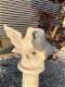 Duivenpaar, tuinbeeld op sokkel, steen, duifbeeldjes / duivenbeelden - 5 - Thumbnail