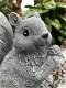 Eekhoorn, decoratie, dierenbeeld, tuinbeeld, steen - 2 - Thumbnail