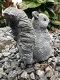 Eekhoorn, decoratie, dierenbeeld, tuinbeeld, steen - 3 - Thumbnail