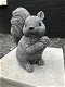 Eekhoorn, decoratie, dierenbeeld, tuinbeeld, steen - 5 - Thumbnail