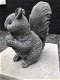 Eekhoorn, decoratie, dierenbeeld, tuinbeeld, steen - 7 - Thumbnail