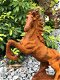 Een fraai beeld van een steigerend paard, gietijzer-rust - 3 - Thumbnail