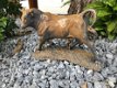 Een fraai beeld van een stier, gietijzer-rust - 2 - Thumbnail