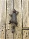 Een klimmende eekhoorn, gemaakt van gietijzer, wanddecoratie - 0 - Thumbnail