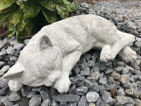 Slapende kat / poes - levensecht dierenbeeld, steen, tuinbeeld - 0