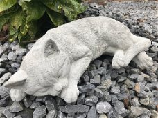 Slapende kat / poes - levensecht dierenbeeld, steen, tuinbeeld