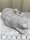 Slapende kat / poes - levensecht dierenbeeld, steen, tuinbeeld - 3 - Thumbnail