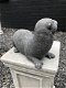 Tuinbeeld otter, vijverdecoratie, dierenbeeld, steen - 7 - Thumbnail