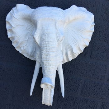 Witte olifantenkop - wandornament, eye-catcher - 0