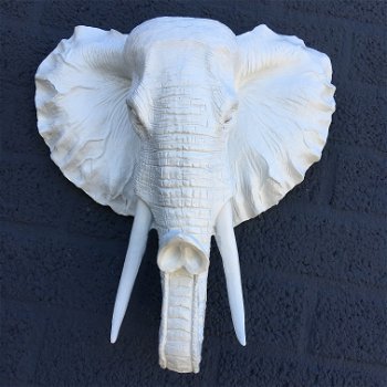 Witte olifantenkop - wandornament, eye-catcher - 1