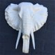 Witte olifantenkop - wandornament, eye-catcher - 1 - Thumbnail
