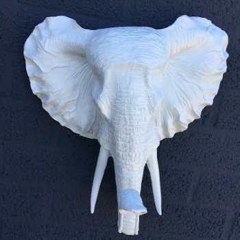 Witte olifantenkop - wandornament, eye-catcher - 2