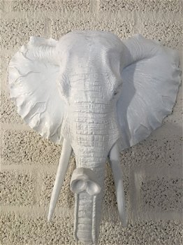 Witte olifantenkop - wandornament, eye-catcher - 5