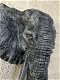 Zwart-grijze olifantenkop - wandornament, eye-catcher - 3 - Thumbnail