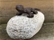 Salamander op kei, decoratie, tuinbeeld, leuke deco - 1 - Thumbnail