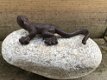 Salamander op kei, decoratie, tuinbeeld, leuke deco - 2 - Thumbnail