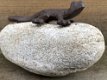 Salamander op kei, decoratie, tuinbeeld, leuke deco - 3 - Thumbnail