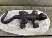 Salamander op kei, decoratie, tuinbeeld, leuke deco - 4 - Thumbnail