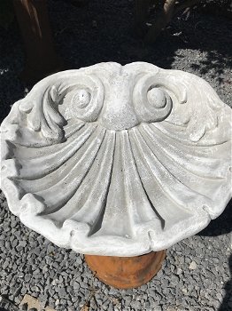 Een mooi vogelbad in de vorm van een schelp, vol steen - 4