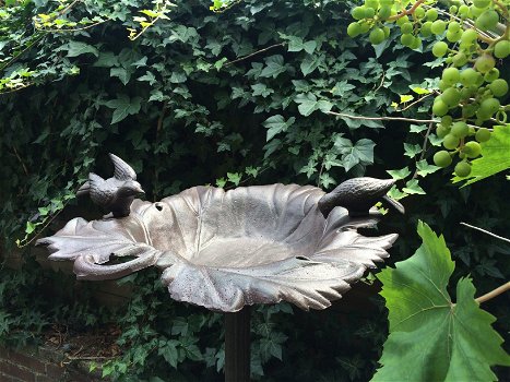 Groot staand vogelbad, met vogels, gietijzer, in bladvorm - 2
