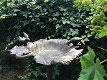 Groot staand vogelbad, met vogels, gietijzer, in bladvorm - 2 - Thumbnail
