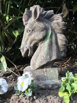 Gedetailleerd paardenhoofd, terracotta, tuinbeeld - 0