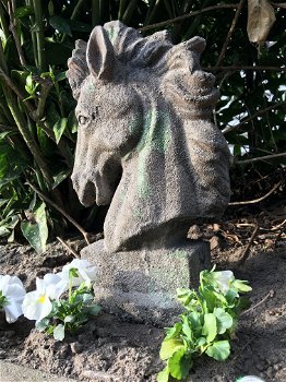 Gedetailleerd paardenhoofd, terracotta, tuinbeeld - 1