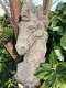 Gedetailleerd paardenhoofd, terracotta, tuinbeeld - 5 - Thumbnail