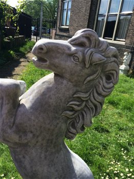 Groot paard op sokkel, tuinbeeld van steen, steigerend paard - 2