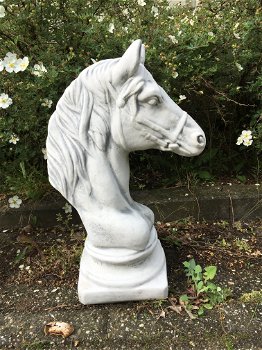 Sculptuur paardenhoofd, steen, tuinbeeld - 0
