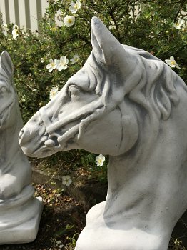 Sculptuur paardenhoofd, steen, tuinbeeld - 2