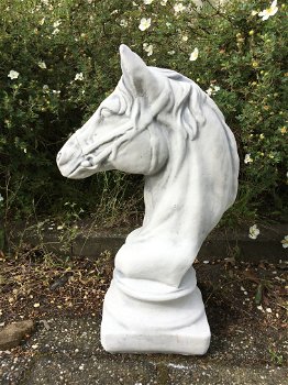 Sculptuur paardenhoofd, steen, tuinbeeld - 3