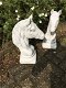 Sculptuur paardenhoofd, steen, tuinbeeld - 5 - Thumbnail