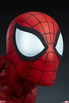 Sideshow Spider-man Life-Size bust - 4