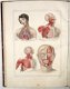 [Anatomie Atlas] Bayle 1839 Atlas Elementaire d’Anatomie - 0 - Thumbnail