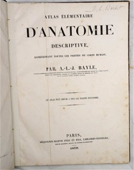 [Anatomie Atlas] Bayle 1839 Atlas Elementaire d’Anatomie - 1