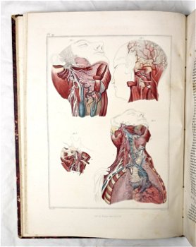 [Anatomie Atlas] Bayle 1839 Atlas Elementaire d’Anatomie - 4