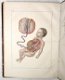 [Anatomie Atlas] Bayle 1839 Atlas Elementaire d’Anatomie - 7 - Thumbnail