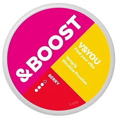 V&YOU &Boost Berry