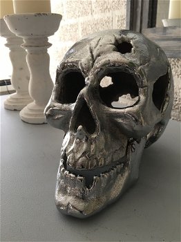 Een grote anatomische schedel, gietijzer, chrome-nikkel - 3