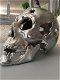 Een grote anatomische schedel, gietijzer, chrome-nikkel - 5 - Thumbnail