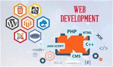 eCommerce Website Development Services India & USA