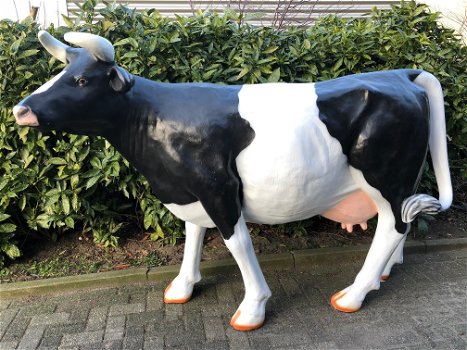 Tuinbeeld van levensgrote koe, sculptuur koe, heel groot beeld - 0
