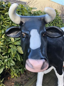 Tuinbeeld van levensgrote koe, sculptuur koe, heel groot beeld - 2