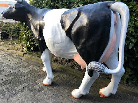 Tuinbeeld van levensgrote koe, sculptuur koe, heel groot beeld - 4