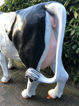 Tuinbeeld van levensgrote koe, sculptuur koe, heel groot beeld - 5