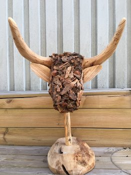 Kunstwerk van een stierenkop, hout, Monfort - 2