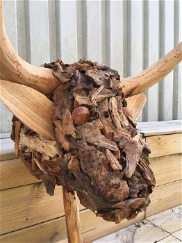 Kunstwerk van een stierenkop, hout, Monfort - 4